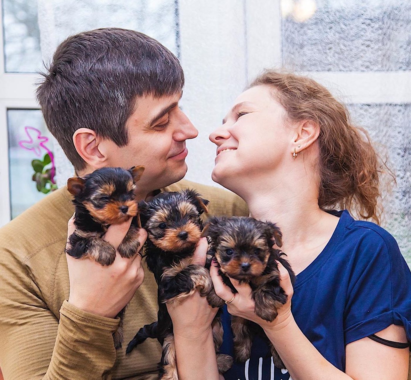 Isabella with a litter of teacup Yorkie puppies