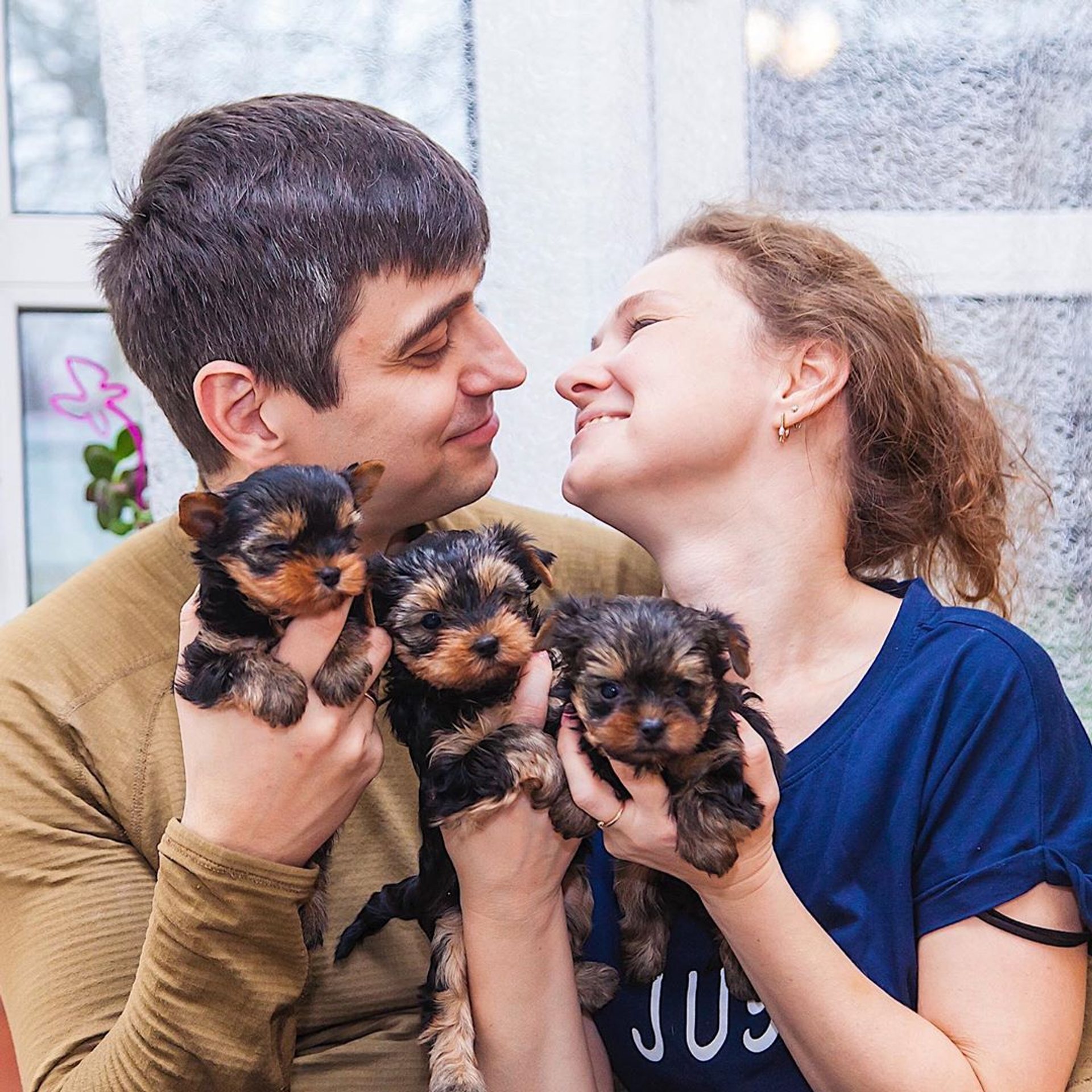Isabella holding three teacup Yorkie puppies at home